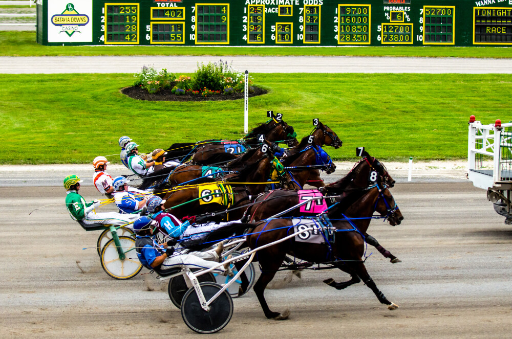 Batavia Downs Racetrack, Gaming & Hotel
